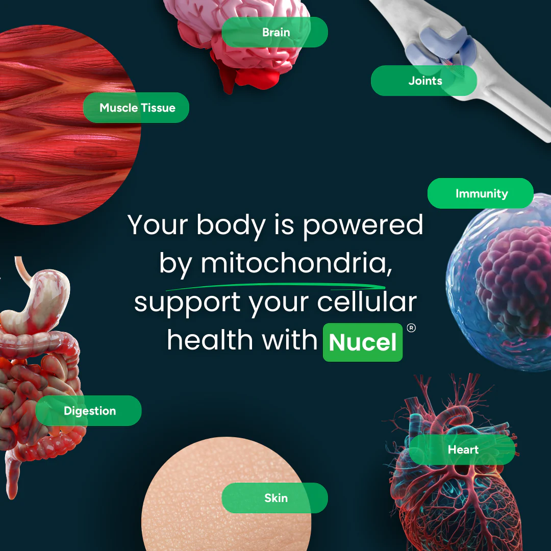 Nucel Longevity & Cellular Performance Formula - Image 10